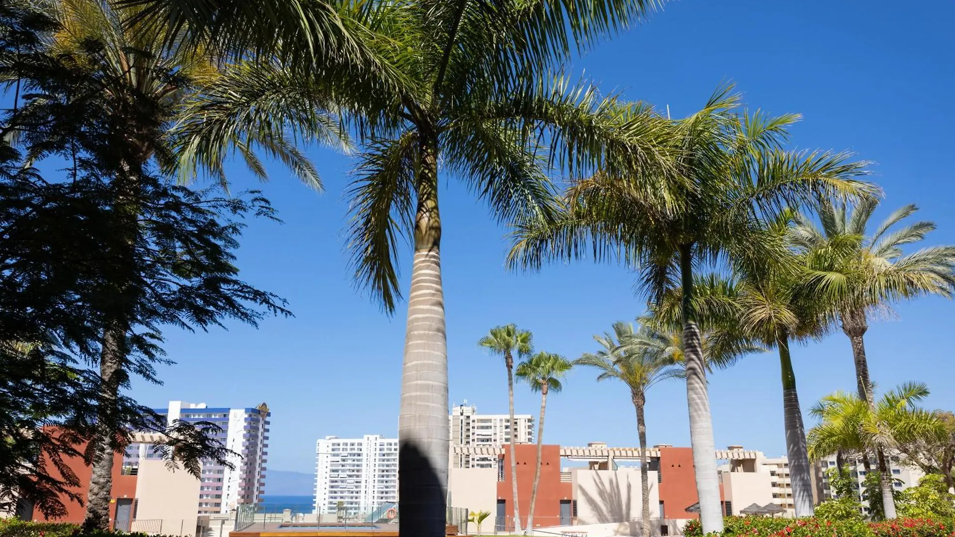 Playa Paraiso 2 - Apartament Costa Adeje  Apartment Costa Adeje (Tenerife)
